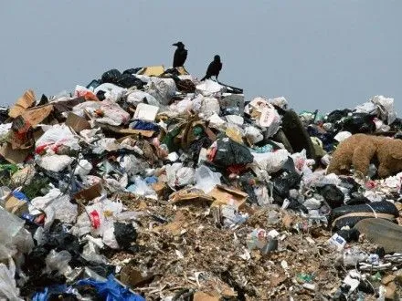 За минувшие сутки из Львова вывезено 882 тонн мусора