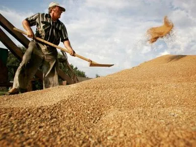 Аграрии уже намолотили 314 тыс. тонн зерна