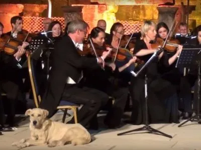 Собака-меломан ледь не зірвав виступ Віденського оркестру