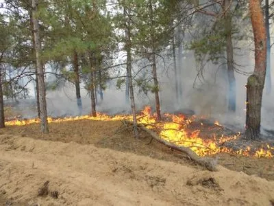 Около 20 га леса горит в Херсонской обл