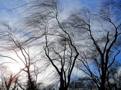 Синоптики предупредили киевлян о сильных порывов ветра