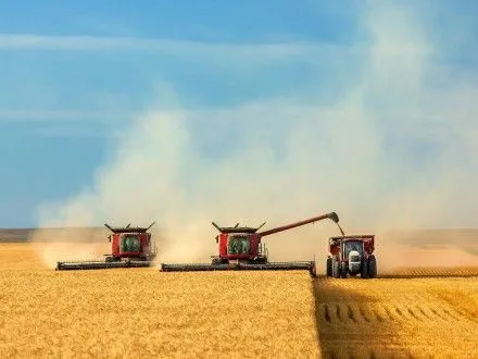 Аграрії намолотили на сьогодні 1,3 млн тонн зерна – Мінагрополітики