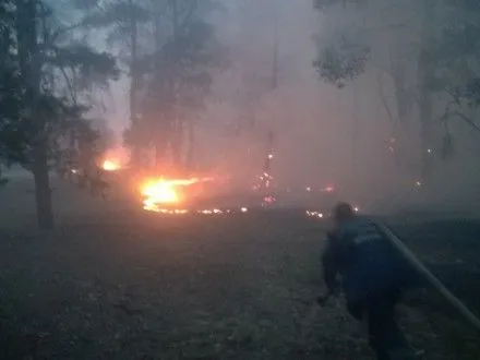Спасатели потушили пожар в лесу в Херсонской области
