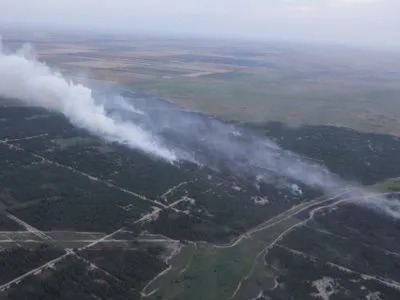 Пожар в лесничестве в Херсонской области локализовали