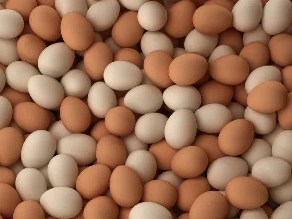 Киянин вкрав з птахоферми яєць на майже мільйон гривень