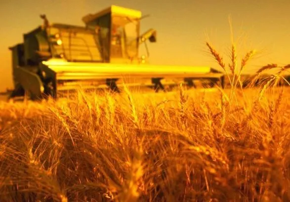 Украина экспортировала более 13,5 млн тонн зерновых