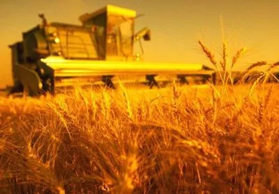 Украина экспортировала более 13,5 млн тонн зерновых