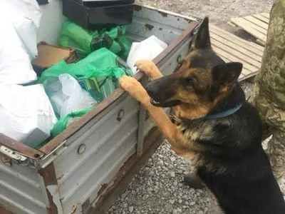 Собака пограничников на КПВВ "Гнутово" обнаружила патроны к снайперским винтовокам