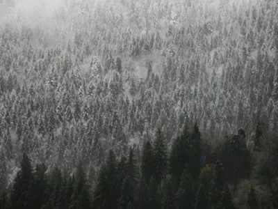 В связи со снегопадами на Закарпатье объявили штормовое предупреждение