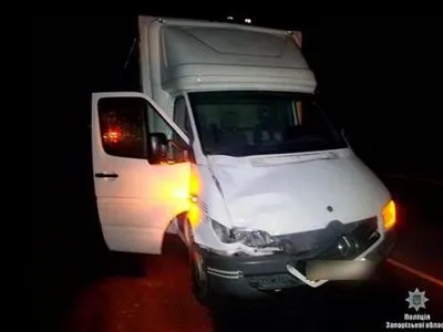 Під колесами вантажівки на Запоріжжі загинула жінка