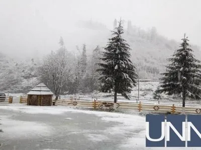 Высокогорные районы Закарпатья укрыло снегом