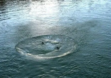 Пенсіонер потонув в озері Рівного