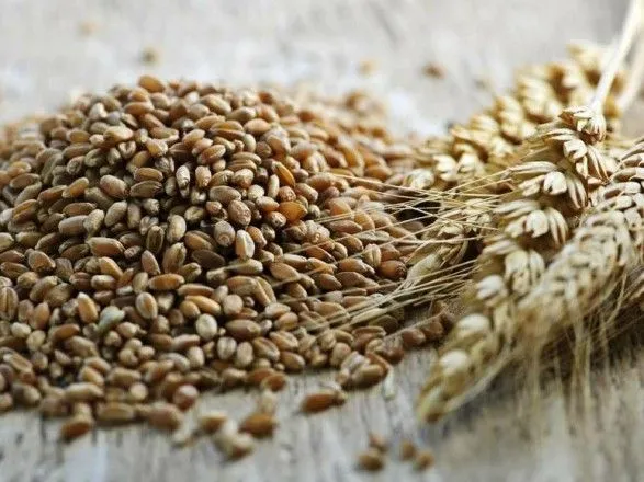Україна експортувала 14,4 млн тонн зерна