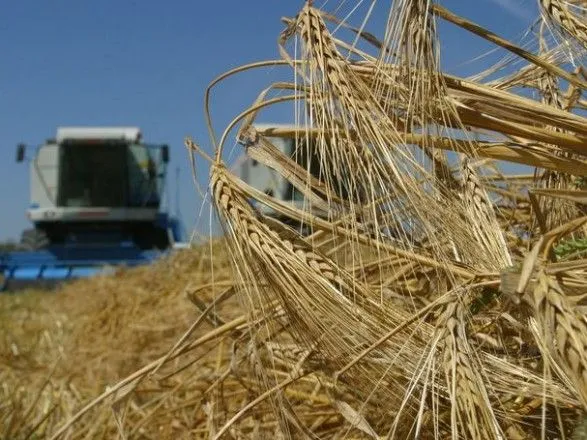 В Україні зібрано 52,5 млн.т зернових