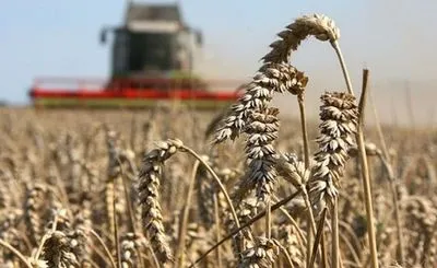 Аграрии уже собрали 53,7 млн тонн зерна