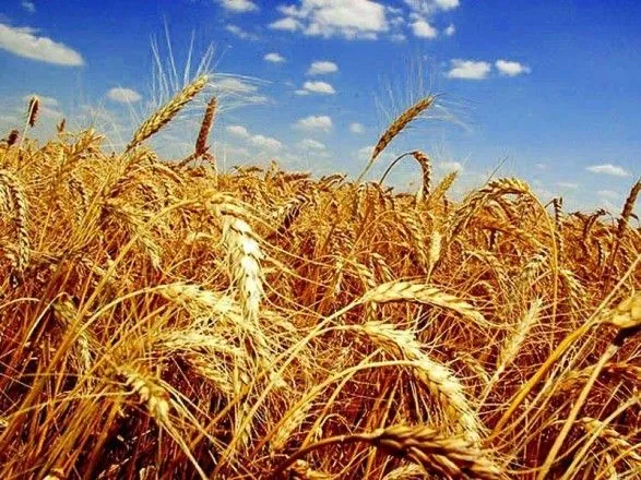 Украина экспортировала более 15,3 млн тонн зерновых