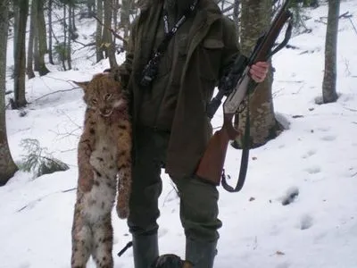 Фото с убитой рысью: лесничего заподозрили в отстреле краснокнижных животных