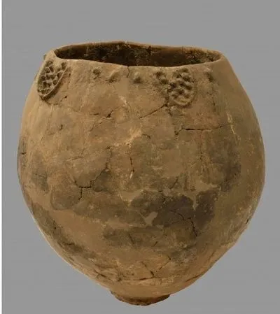 Древнейшие образцы вина обнаружили на территории Грузии