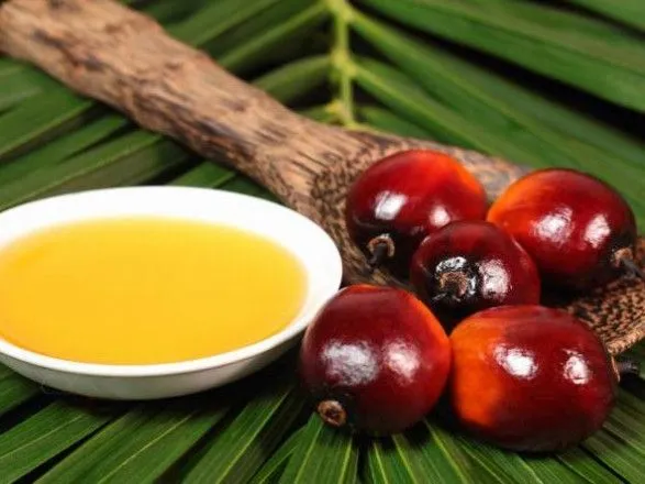 Пальмовое масло бесконтрольно используется для фальсификации продуктов питания - нардеп