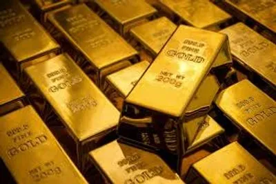 В Житомирской области неизвестные напали на предпринимателей и украли у них 30 кг золота