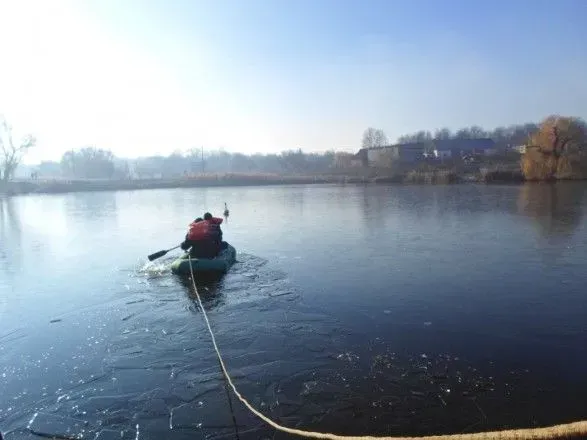 В Кировоградской области спасатели освободили лебедя, который примерз ко льду