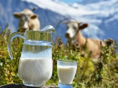 Україна збільшила обсяги виробництва молока