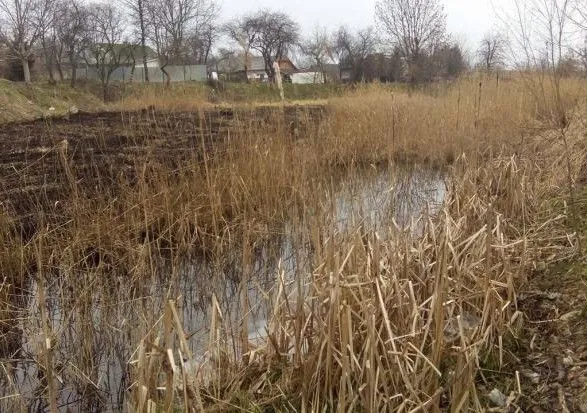 В Ассоциации рыболовов заявили об исчезновении малых рек Украины