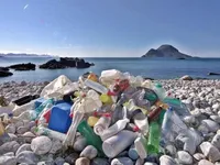 В Карибском море обнаружили "мусорное пятно" из пластика