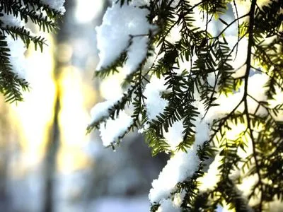 Метеоролог рассказала, какой будет зима в Украине