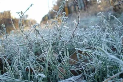 Сегодня в Украине ожидается морозная погода