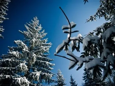 Завтра в части Украины будет идти снег