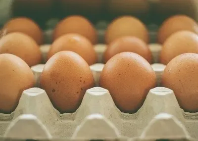 В 2017 году экспорт украинских яиц увеличился в 1,5 раза