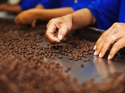В этом году Украина импортировала кофе на более чем 82 млн долл.