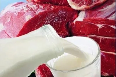 Виробники молока і м'яса не проти скасування мораторію на перевірку