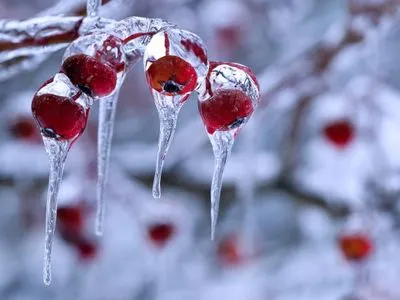 Синоптики дали прогноз на початок зими