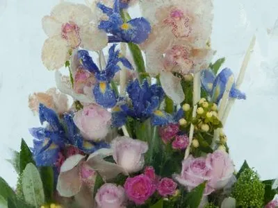 На Співочому полі відкриють виставку заморожених квітів