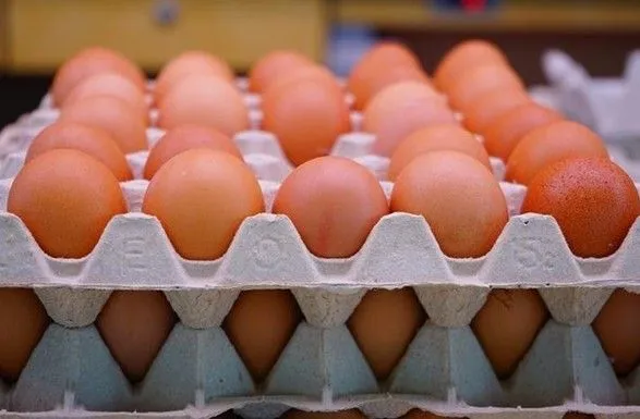 Куриные яйца подорожают на 10-15% до конца года