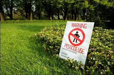 Ровенская область страдает от пестицидов - активист