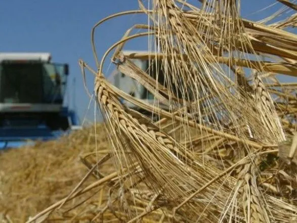 Украинские сельхозпроизводители сократили производство на 2,3%