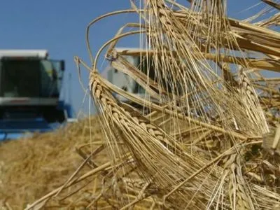 Українські сільгоспвиробники зменшили виробництво на 2,3%