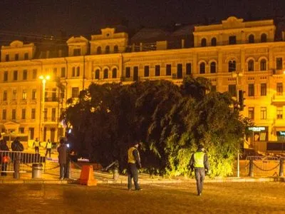 Головна новорічна ялинка прибула до Києва