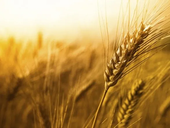 Китай запідозрив Україну в небажанні віддавати кредит зернової корпорації