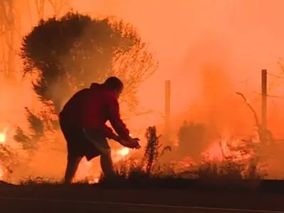 Чоловік врятував кролика від лісової пожежі у Каліфорнії