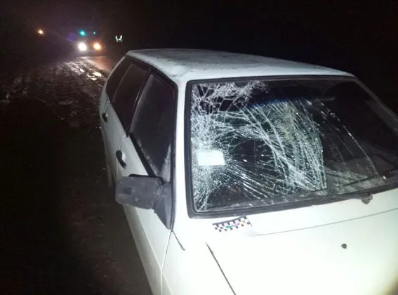 В Винницкой области водитель сбил насмерть двух пешеходов