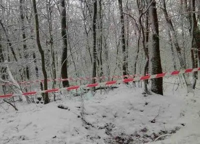 На Львівщині в лісі знайшли тіла двох чоловіків
