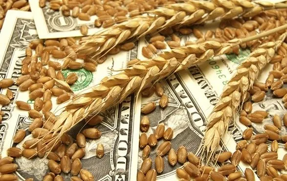 Эксперт: ситуация с зерновой корпорацией порождает недоверие к Украине