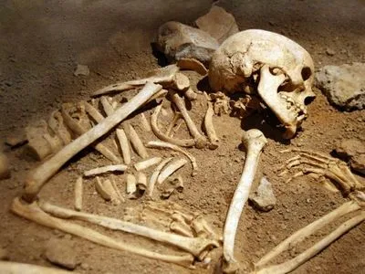 В Волынской области во время строительства нашли человеческие останки
