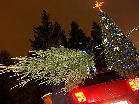 Автомобили с елками на подъездах к Киеву будут проверять
