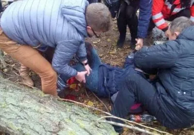 Двум людям сообщили о подозрении за травмирование ребенка из-за падения дерева в Ужгороде