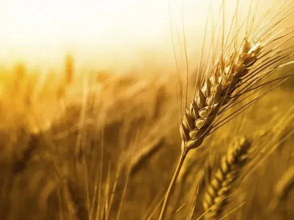 На користь ДАК "Хліб України" суди "відібрали" у зернової корпорації вже п'ять підприємств